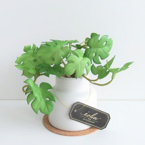 ϗtA  GNA O[i[Ct STCY RNR[X^[t CTG}H tFCNO[ A L R h  CeA