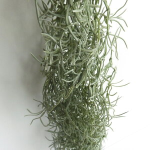 ϗtA  GNA O[i[Ct OXbO tbNt CTG}H A[eBtBV tFCNO[ L R h  CeA