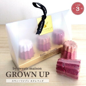 バス用品 入浴剤 スウィーツメゾン カヌレフィズ 3個セット 4種類の天然由来保湿成分配合 バスフィズ バスタイム プチギフト アロマ 誕生日 贈り物 母の日