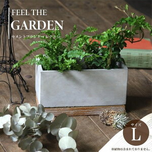  v^[ FEEL TH GARDEN Zgv^[ NgL Mt ꌊL ` Aؔ K[fjO | C_XgA _  CeA