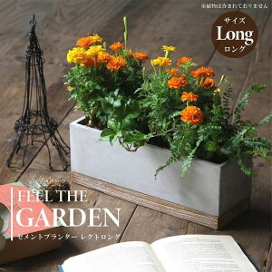  v^[ FEEL TH GARDEN Zgv^[ Ng O Mt ꌊL ` Aؔ K[fjO | C_XgA _  CeA