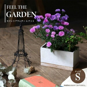  v^[ FEEL TH GARDEN Zgv^[ NgS Mt ꌊL ` Aؔ K[fjO | C_XgA _  CeA