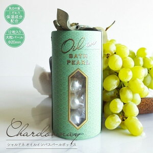 oXpi  Vhl ICCoXp[{bNX 12 Mtg{bNXdl ێIC ez  ܂₩ C A} Mtg 蕨