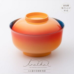 o R iroikoi 4.6Wtlo Ӊ ϔ H@EdqWΉ R۝dl PET/ABS `o G WF[g  e[uEFA H Lb` CX^f  M