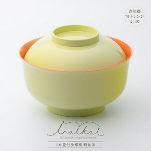 o R iroikoi 4.6Wtlo ߐk ϔ H@EdqWΉ R۝dl PET/ABS `o G WF[g  e[uEFA H Lb` CX^f  