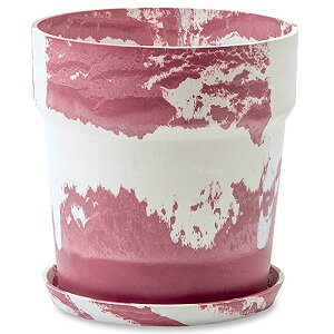  ^ v^[ PLUS the green A[ovc|bg 8 Mt RRVt@Co[t ꌊL Xg[ Xg[pE_[ EbhpE_[ vX`bN TCNf90 yCg