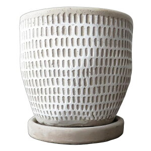  v^[ [tv^[ zCg RRVtZbg 4 Zg Mt ꌊL  ~` Aؔ K[fjO | _ JWA  CeA