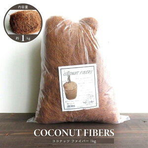 |pi }`O RRibct@Co[ 1kg RRV VRf uE 悯 ΍ ϗtAp  o AW K[fjO CeA