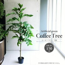 楽天市場】大型（種類（植物）コーヒーの木）（花・ガーデン・DIY）の通販