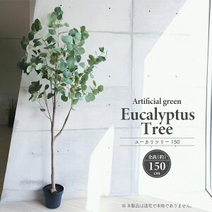 lHϗtA A[eBtBVO[ [Jc[ S150cm ^ F  tFCNO[ CeAO[   ϗtA 蕨  CeA