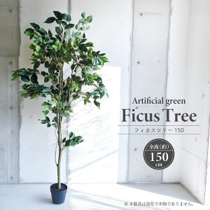 lHϗtA A[eBtBVO[ tBJXc[ S150cm ^ F  tFCNO[ CeAO[   ϗtA 蕨  CeA