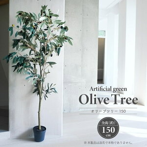 lHϗtA A[eBtBVO[ I[uc[ S150cm ^ F  tFCNO[ CeAO[   ϗtA 蕨  CeA