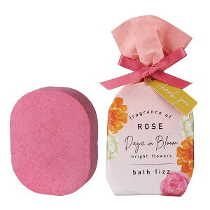 oXpi  fCYCu[BF oXtBY {E^Ot A ێz oX{ A} tOX oX^C v`Mtg a 蕨