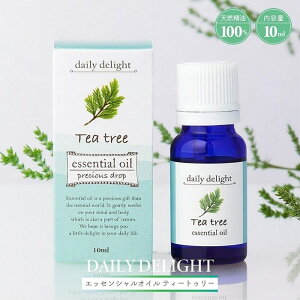 A}  fC[fBCg GbZVIC 10mL eB[gD[ VR100 YI[XgA C@ XbL n[u A}IC tOX A}es[ q