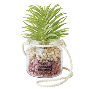 A}  {^jJR nMO ݉ tOX KXr ϗtA F