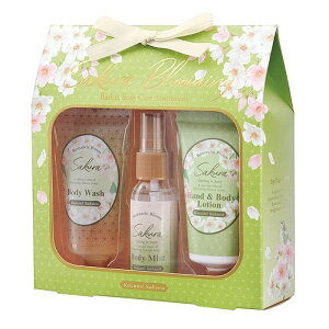 oXpi TNCC oX{fB[PAZbg oXMtgZbg {fBEHbV {fB[[V {fB~Xg 3_Zbg ێz A} Mtg 蕨