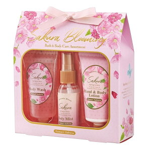 oXpi TNCC oX{fB[PAZbg oXMtgZbg {fBEHbV {fB[[V {fB~Xg 3_Zbg ێz A} Mtg 蕨