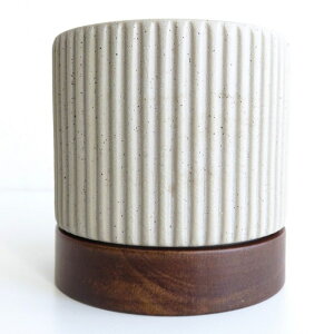  v^[ ^CfB|bg L Z~bN ؐ󂯎M AJVA NAbJ[dグ ꌊ 4.5 V_[^ Xg[g CeA