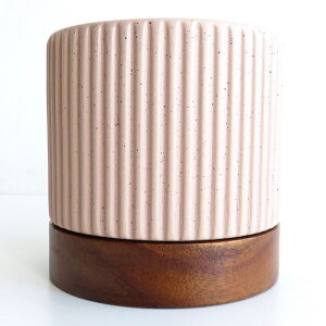  v^[ ^CfB|bg L Z~bN ؐ󂯎M AJVA NAbJ[dグ ꌊ 4.5 V_[^ Xg[g CeA