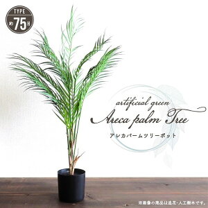 lHϗtA A[eBtBVO[ AJp[c[|bg 75cm^Cv p[ V  tFCNO[ CeAO[ 썑  蕨