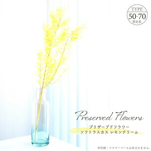 hCt[ vU[uht[ \tgXJX N[ 25g L50`70cm VRf [t t ԍ AWg F CG[ CeA