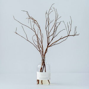 A} Odai qV [hfBt[U[ VRf VRR VRRF qmLXeBbNt FԖ1.5 [JCh [tOX F  X t