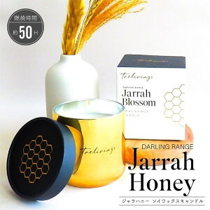 A}Lh gBOX Wnj[ \CbNXLh n`~c xW^ubNX lCeBufU[gt[coz {^jJ pxt[ zElH