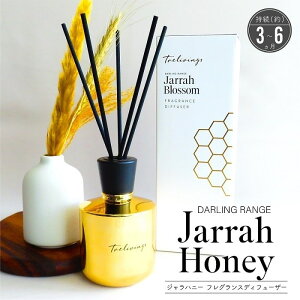 A} [hfBt[U[ gBOX Wnj[ tOXfBt[U[ n`~c VRoz {^jJ zCgO[vt[c̍ XeBbN [t