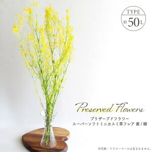 hCt[ vU[uht[ X[p[\tg~jJX~ tA E S50cm CG[EO[ ~bNX ݑ ݂ u[P VRf n_ AW C