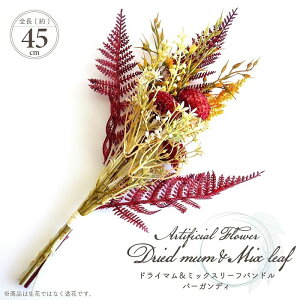  A[eBtBVt[ hC}~bNX[toh o[KfB[ S45cm^Cv ԑ u[P oh tFCNt[ AWg CeA 蕨 Mt