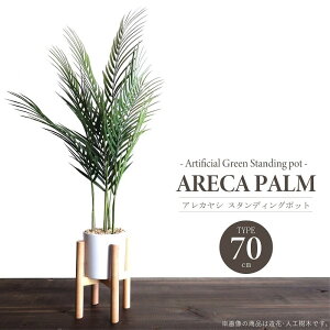 lHϗtA A[eBtBVO[ AJVX^fBO|bg70 70cm^Cv X^ht PP V  tFCNO[ CeAO[  ϗtA 蕨 C