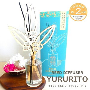 [hfBt[U[  ؍ LNZC [hfBt[U[L Ԗ2 [tOX F Mtg 蕨 CeA