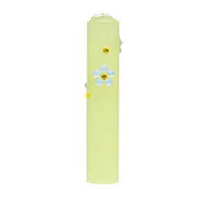 y(16܂ŉ)z 킢 nR  y͂(DlCEp[-CG[ENK-539)zyTCY:12mm(~)zy蒤dグӁzylC s//Fzy