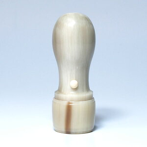 @lӁE\҈iЈEEj[El]EI_FEۓVہEʒa21mm×60mmEP[Xʔ