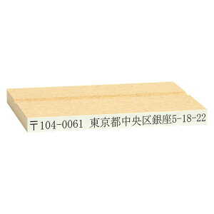 SEIWiX^v[f[^e]Es^Cv(SEMDFES):60x5mm
