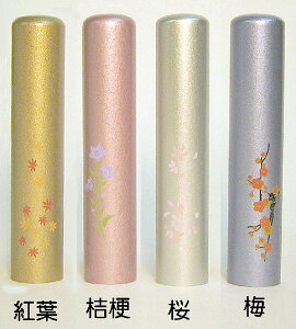 lp    s E F a^bN 12mm×60mmEP[Xt