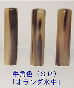蒤 nR    j lp  蒤 (i`)orI_(F)13.5mmE15mm P[Xt  ͂񂱂ƕ\D̔
