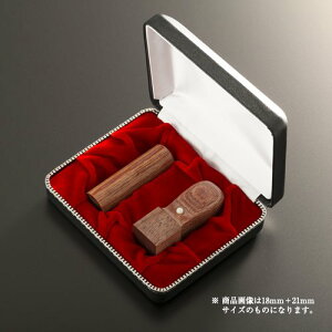 yz@l NbV[ʊRpNgZbg | \҈(ې16.5mm):p(pV21mm):NbV[P[Xi2{pj @lp Д Ј q 񂩂 ͂ nR Аݗ d o