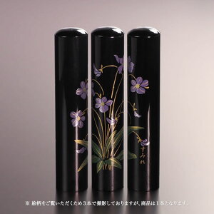 yz㎪Ǧl//݂/12mm l񂩂 ͂ nR q AEj Mtg j v[g   j q