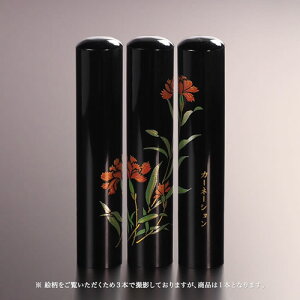 yz㎪Ǧl//J[l[V/12mm l񂩂 ͂ nR q AEj Mtg j v[g   j q