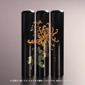 yz㎪Ǧl///12mm l񂩂 ͂ nR q AEj Mtg j v[g   j q