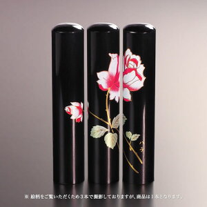 yz㎪Ǧl//o/12mm l񂩂 ͂ nR q AEj Mtg j v[g   j q