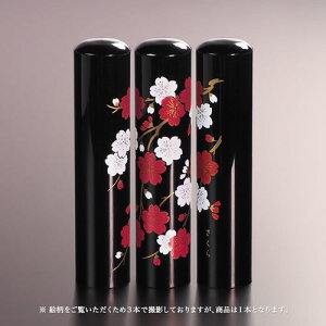 yz㎪Ǧl/lG/t//13.5mm l񂩂 ͂ nR q AEj Mtg j v[g   j q