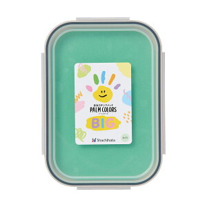 `E`X^vpbh p[J[YBIG PalmColors BIG ݂ǂ V`n^ HPS-B-G R[h:41223