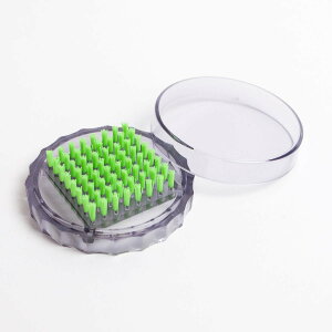 ӃTvC/Tr[[GF-024] ͂񂱃uV/