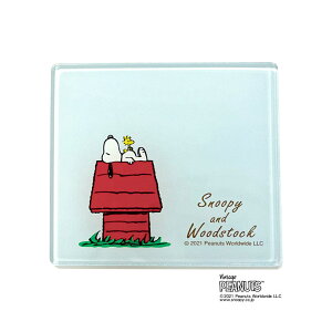 ӃTvC/Tr[/LN^[}bg/Xk[s[/TSK-66627/80×90mm 2mm