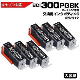 Ecoink10 交換用インクボディセット BCI-300 PGBK×6個 交換用 顔料 顔料ブラック 【この商品だけでは使用できません】 キャノン Canon 互換インクカートリッジ エコロジー ゴミ削減 BCI-300 BCI300 BCI-300XL PGBK PIXUS TS7530