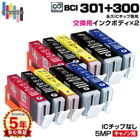 【永久ICチップ専用交換用ボディ×2セット】BCI-301+300 / 5MP 大容量 5色×2セット【こちらの製品だけでは使用できません。】 キャノン Canon エコロジー ゴミ削減 BCI 301 300 5MP 300PGBK 301BK 301C 301M 301Y PIXUS TS7530