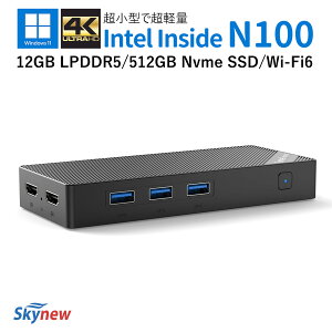 yyVX[p[SALE5OFFIz~jPC ^ Intel N100  Windows11 pro 12GB 512GB SSD ^ y ȓd ~jp\R fXNgbvPC ^PC ȃGlM[ Vi TuPC Tup\R e[N 