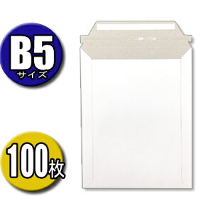  [ B5TCY 29CM×22,5CM 100 [ NlRDM lR|X NbN|Xg 䂤pPbg |XpPbg 䂤[ r[ 蕕 p Ɩp zCg X